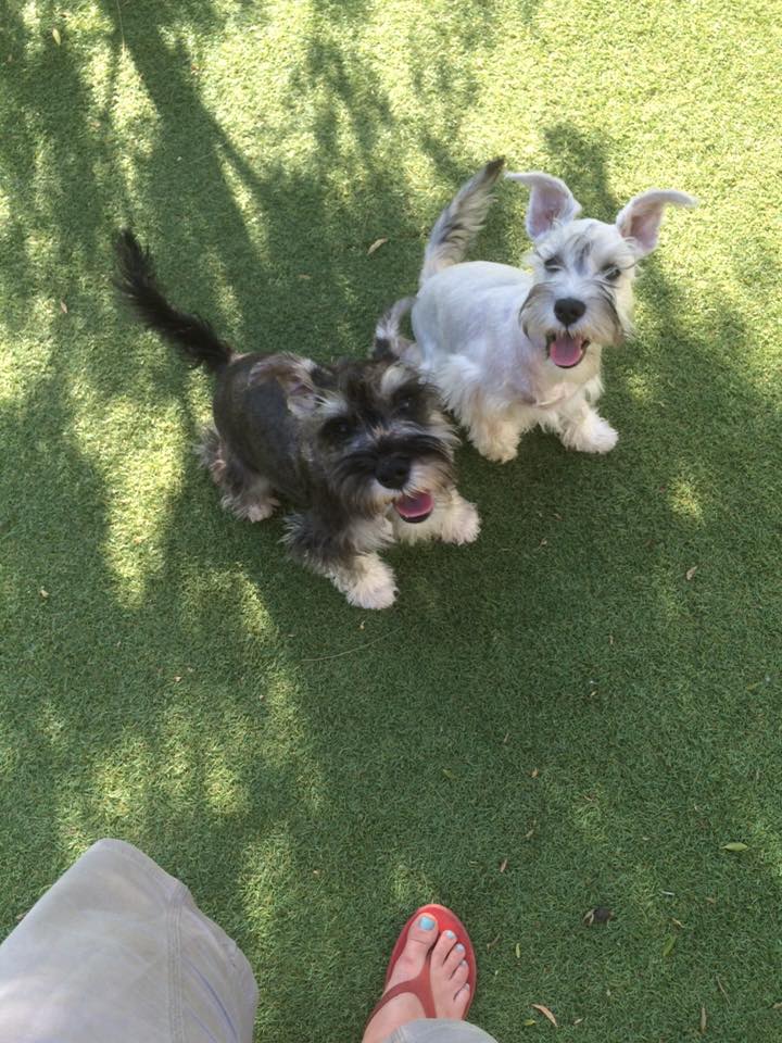 Happy Tails shop and parlour Happy Tails shop and parlour